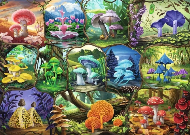 Ravensburgeri pusle kaunid seened 1000 tükki
