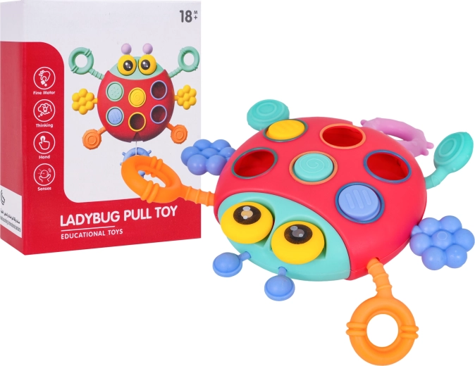 Multifunktsionaalne lepatriinu kõige pisematele