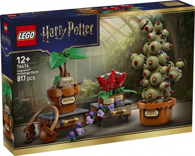 LEGO Harry Potter Taimed Sigatüüka taimetunnist