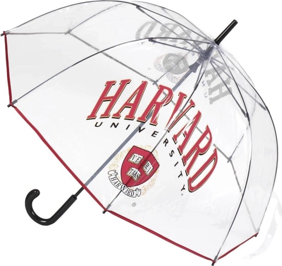 Läbipaistev XL vihmavari Harvard - 1 tk