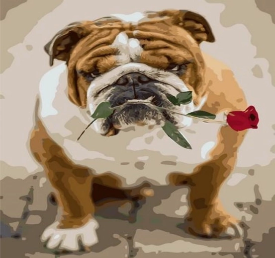 Norimpex numbrite järgi maalimine – buldog roosiga 40 × 50 cm