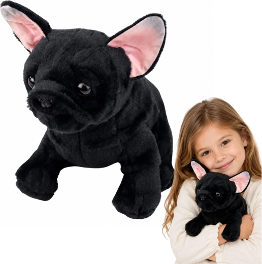 Plüüsist prantsuse buldog, must, 22 cm
