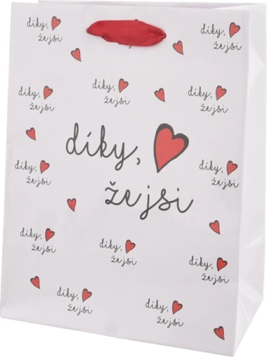 Paper gift bag “Thanks for being you” (18 × 10 × 23 cm)