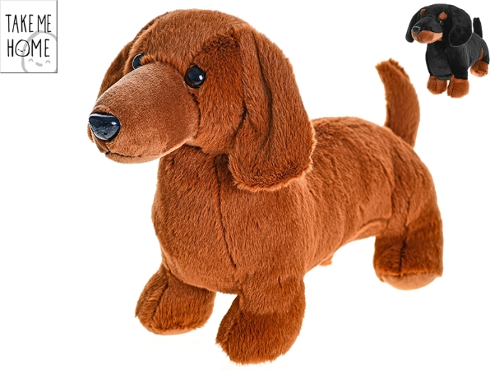 Plush Dachshund 36 cm Take Me Home