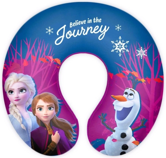 Frozen neck pillow