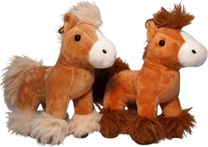 Väike karvane poni – 1 tk
