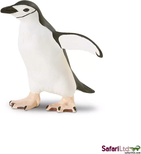 Chinstrap penguin