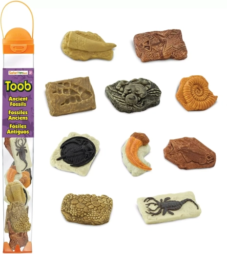 Safari Ltd. Toobs fossiilide tuub