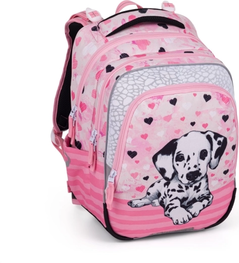 Bagmaster koolikott BETA 24 A dalmaatsia koer