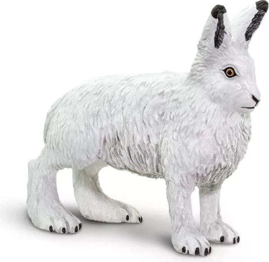 Polaarjänes Safari Ltd. – 1 tk