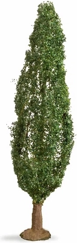 Noch pappel (Master Tree) 18 cm
