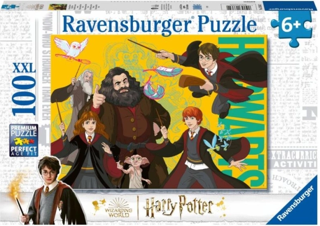 Harry Potter: noor võlur – pusle 100 tükki