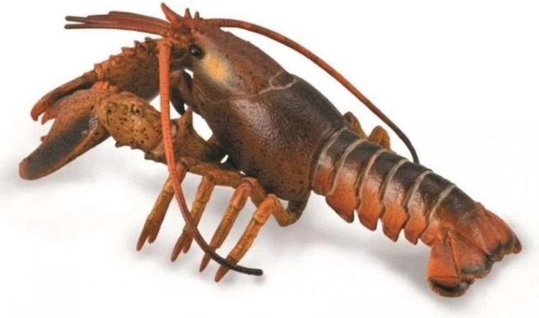 Collecta homaar – realistlik hariv figuur