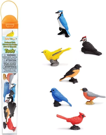 Safari Ltd. TOOBS® lindude tuub