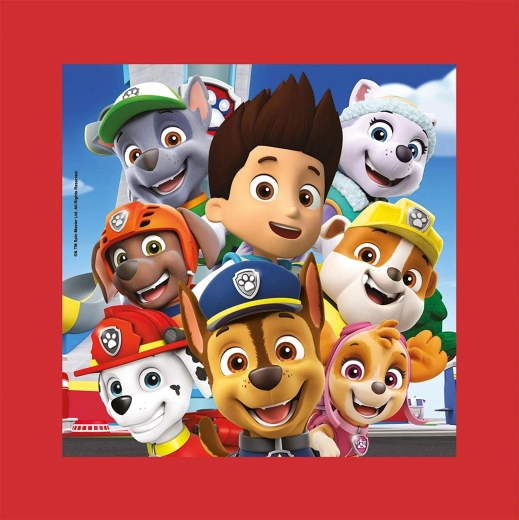 Clementoni laste Paw Patrol raamiga pusle
