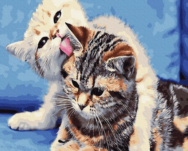 Teemantmaal „Kassisõprus” 30 × 40 cm