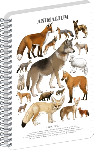 Notique spiraalplokk Animalium – koerlased kiskjad, jooneline, A4