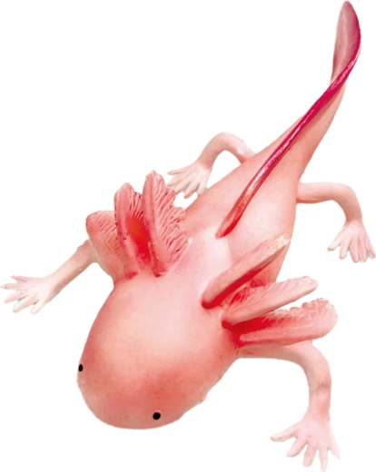 Kummist aksolotl 19 cm