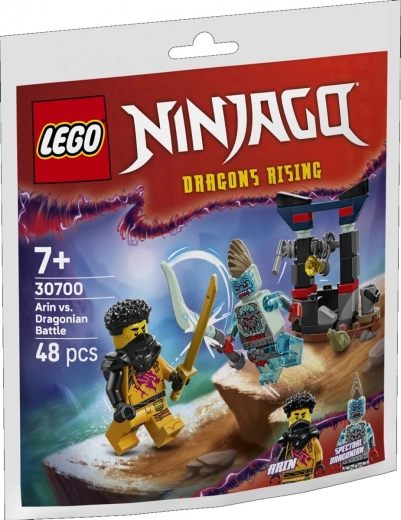 Klocky NINJAGO Arini lahing draakoniga