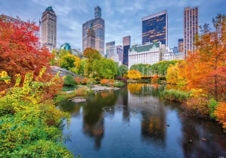 Pusle Central Park 500 tükki