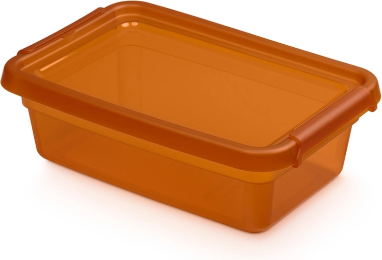 Basestore hoiukast kaane ja klambritega, amber 3 l (19 × 28 × 9 cm)