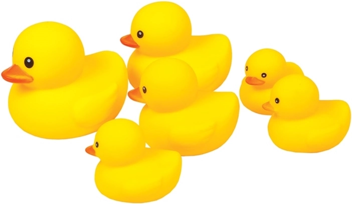 Set of Rubber Bath Ducks in a Net - 6 Pieces