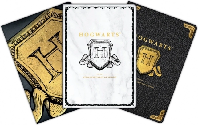 A6 märkmike komplekt HARRY POTTER