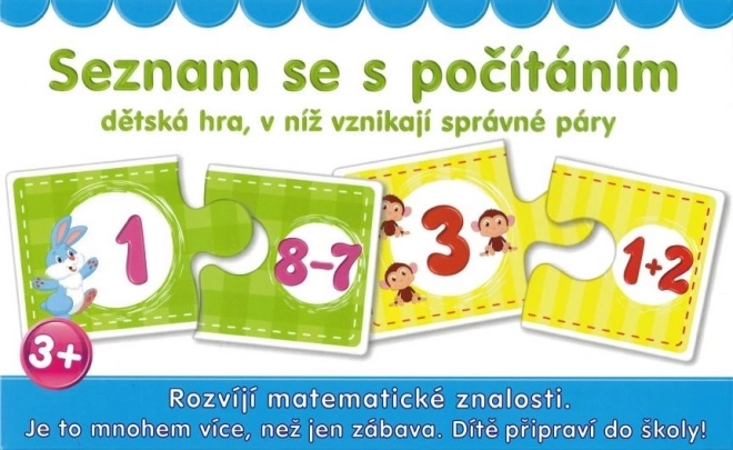 Counting Pairs Puzzle