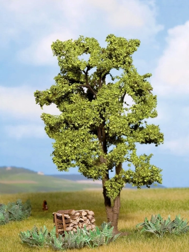 Noch Acacia – 15 cm Tree Model