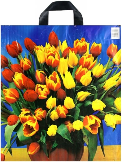 Printed plastic shopping bag with loop handle 43 × 48 cm - 1 piece