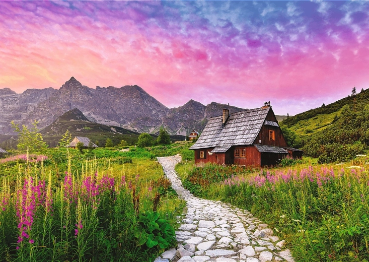 Trefl pusle Hala Gąsienicowa 500 tükki