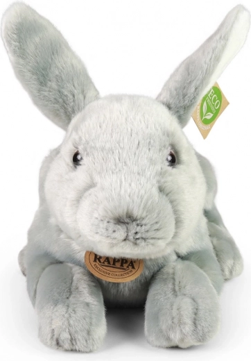 Ohutu alates sünnist