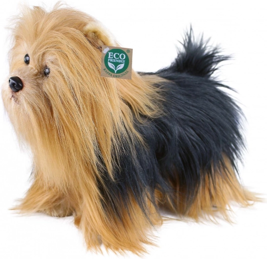 Realistlik pikk kasukas ja armsad detailid