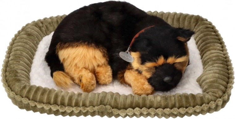 Realistlik hingamine ja rahulik uni