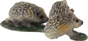 Kompaktne suurus igasse arrangemanti