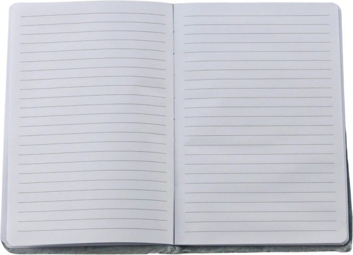 Clear lined pages