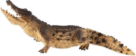 Suurepärane õppimiseks ja kogumiseks