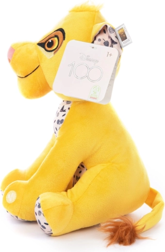 Dress Up Simba