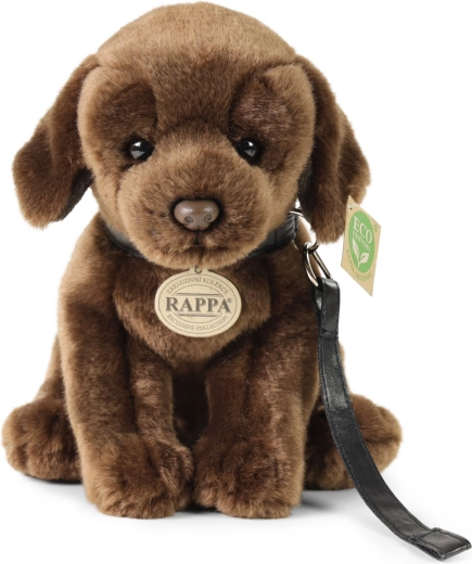 Realistlik ja köitev disain