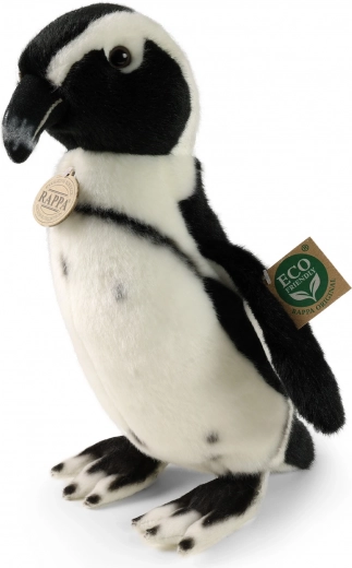 Eco Friendly Design