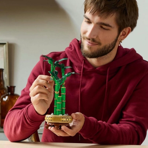 Lõõgastav ehitus täiskasvanutele