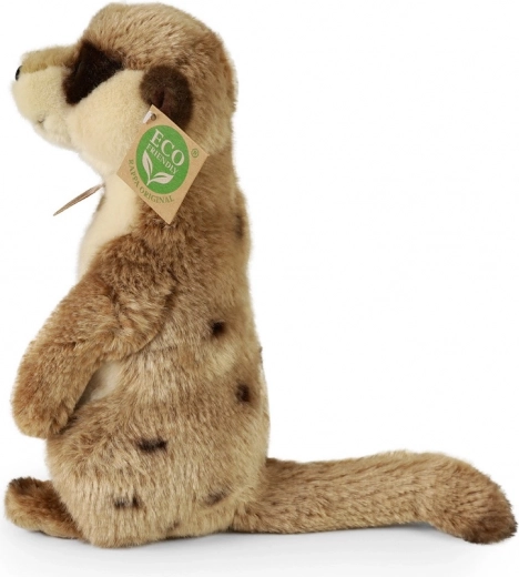 Keskkonnasõbralik lähenemine