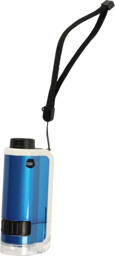 Lõbu ja õppimine ühes