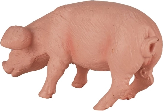 Tõetruud detailid ja värvus