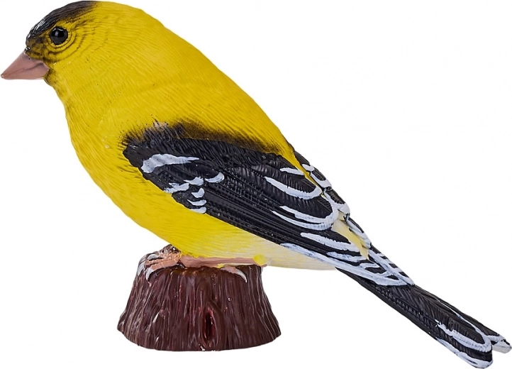 Kollase võikese tõetruu kujutis