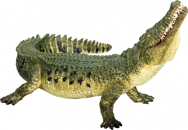 Realistic Design
