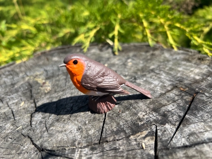 Dekoratsioon ja õppevahend