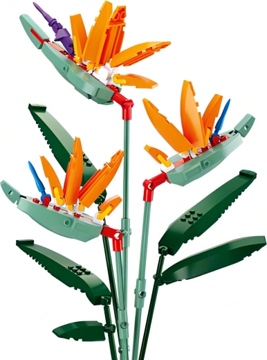 Colorful and vibrant design