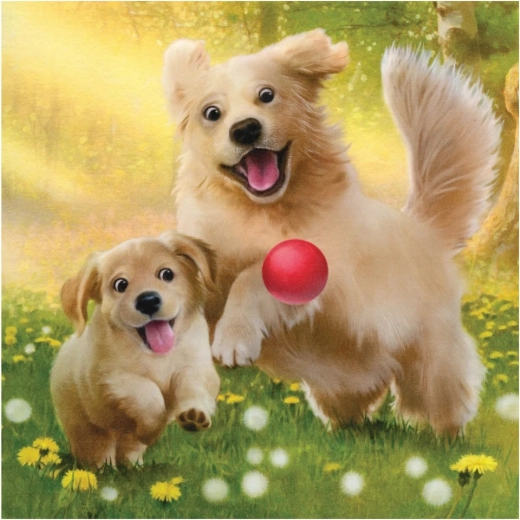 Cheerful, energetic dogs