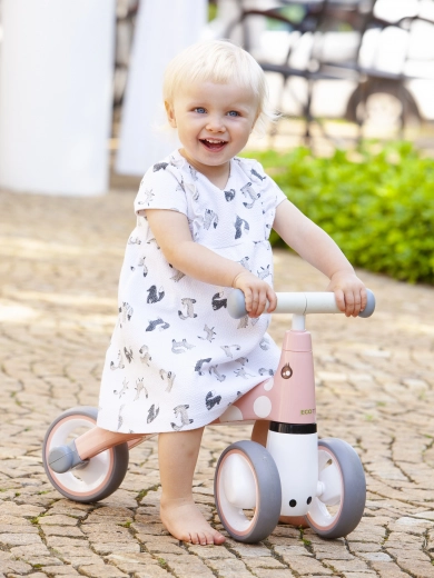 Kaunis flamingo motiiv